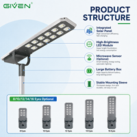 Lampu Jalan Tenaga Surya Terintegrasi Berperingkat IP66 dengan Casing Aluminium, Modul LED Besar, Pengontrol MPPT, Baterai LiFePO4, dan Sensor Gerak Microwave