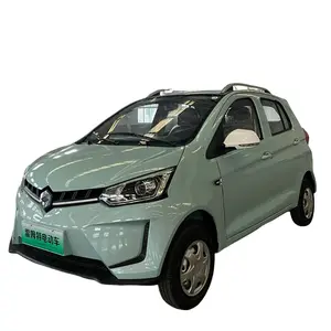 EV Van Cars Made In China High Quality FUJIE Electric MINI EV Car For Family Pure Battery Electric Car Good Condition