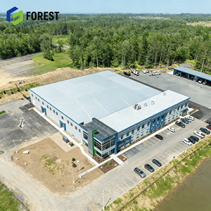 Almacén de Estructura de Acero Personalizable, Edificio Prefabricado de Acero Versátil para Aplicaciones Comerciales, Industriales, de Oficinas, Parques y Escuelas - Product Image 2