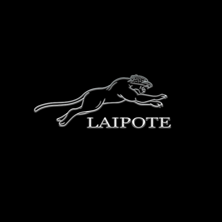 Shijiazhuang Laipote Import & Export Trading Co., Ltd. logo