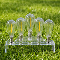 Ampoules à filament pour guirlande lumineuse de jardin, en plastique incassable, ST38 1W, culot E12, dimmable, angle de faisceau 360°, étanche, AC/DC/solaire