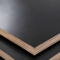 Plateforme d'échafaudage en contreplaqué filmé noir E1 4x8FT pour projets de construction d'hôtels et de villas - Vente en gros usine