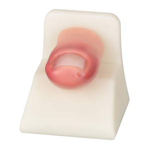 Modèle d'entraînement pour l'élimination des ongles incarnés, et modèle de pratique pour la suppression des rougeurs, gonflements, inflammations et des anéurysmes cutanés de l'orteil - Product Image 5