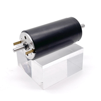 35mm Dia Reemplazo Maxon Motor Coreless Motor Cepillo Rebanador Empaquetador eléctrico