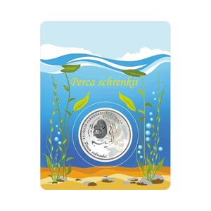 Emballage de sécurité pour pièces de monnaie de 15 mm, 21 mm, 22 mm, en cuivre, nickel, argent, imprimé faune et flore, pièce de monnaie de collection, souvenir, blister (paquet uniquement) - Product Image 5