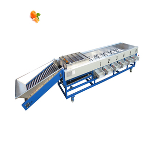 Roller Type Fruit Sorting Machine mango Fruit Sorting Machine Price Apple Orange Grading Machine - Product Image 5
