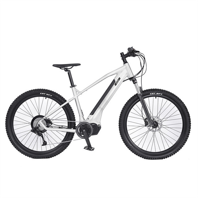 High Quality Electric Bike CE Ebike Electric Mountain Bike 2021 Hot Sale Model Good Battery Electric Bike