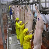 Ligne de porc domestique de haute qualité machine d'abattoir mini abattage de porcs