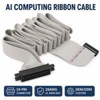 Câble plat personnalisé à 24 broches pour l'IA, assemblage de câbles pour serveurs IA, connecteur IDC, câble plat 28AWG pour serveur IA, GPU, rack, OEM, ODM