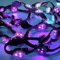 Le pixel polychrome de l'intense luminosité 38mm d'IP67 DMX512 a mené extérieur imperméable léger de point