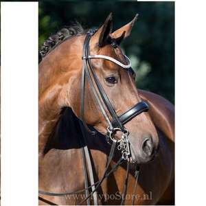 Calidad Superior - Cabestro de Cuero Acolchado para Caballo - Costuras Blancas - Placa de Identificación de Latón - Correa de Nariz y Cabeza Acolchadas - Product Image 4