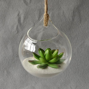 Vente en gros terrariums en verre suspendus <span class=keywords><strong>terrarium</strong></span> vase en verre <span class=keywords><strong>terrarium</strong></span> pour plantes en verre - Product Image 6