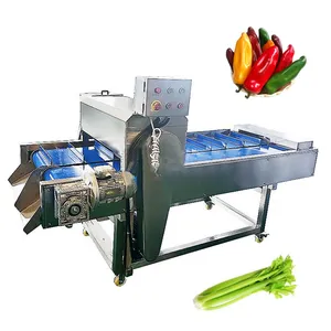 Commerciële Plantaardige Wortel Lente-Ui Wortel Jalapeno Snijsnijmachine Cassave Chili Stengel Verwijdermachine