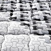 Rayson — matelas de lit en tissu tricoté de haute qualité, résistant au feu, Queen Size, de lit d'hôtel dans une boîte