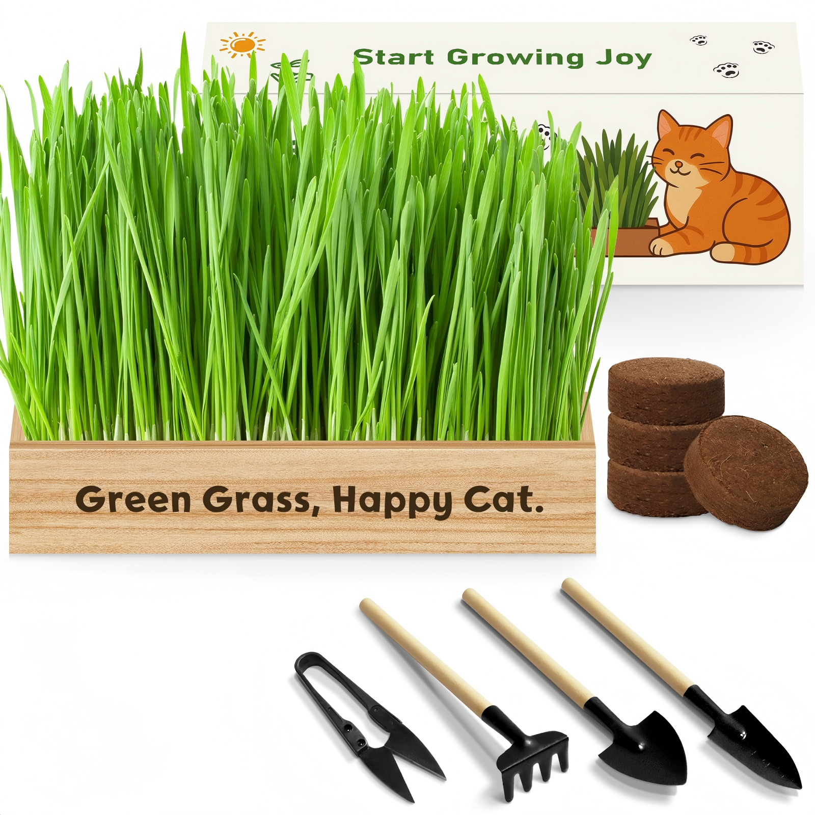 Kit d'herbe à chat