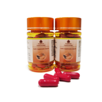 Suplementos dietéticos de hierbas para hombres Cordyceps Sinensis y Ginseng Vitality Cápsulas suplementos inmunológicos de potencia masculina