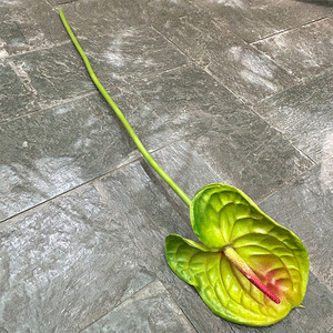Rama sintética de mimbre de PE con hojas delgadas de <span class=keywords><strong>sauce</strong></span> <span class=keywords><strong>llorón</strong></span> de plástico realista para decoración de techo y accesorio de fondo de escenario pastoral - Product Image 3