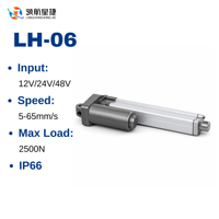 Actionneur linéaire électrique DC 2500N 12V/24V étanche IP66 pour élévateur de télévision, bureau réglable, canapé électrique, course personnalisable