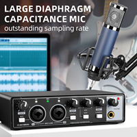 Interface Audio USB Professionnelle OEM MD22 Avec Ensembles de Microphones à Condensateur 48V pour Studio de Musique