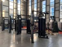 Machine de musculation professionnelle à double poulie croisée pour la poitrine, les bras et les jambes, construction en acier, design réglable