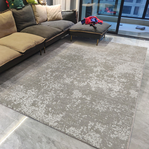 Thảm Cắt Và Vòng Vải Dệt Hoa Ni Lông Nhuộm Giải Pháp Thảm Và Thảm Phòng Khách Sạn Màu Sắc Thời Trang Chống Trượt - Product Image 5