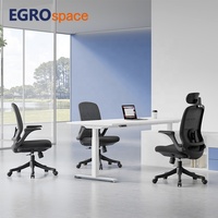 Fauteuil de bureau ergonomique pivotant à dossier haut EGROspace, pour professionnels, vente en gros, fabriqué en usine