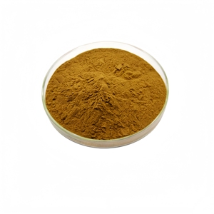 <span class=keywords><strong>Extrait</strong></span> de racine <span class=keywords><strong>d</strong></span>'<span class=keywords><strong>ortie</strong></span> de qualité supérieure directement de l'usine, poudre <span class=keywords><strong>d</strong></span>'<span class=keywords><strong>extrait</strong></span> <span class=keywords><strong>d</strong></span>'<span class=keywords><strong>ortie</strong></span> - Product Image 3