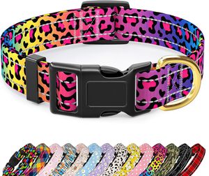 LED <b>Dog</b> Collar Pet Rechargeable <b>Light</b> USB Flashing Rechargeable Cat Collar Nylon <b>Light</b> Pet Collar - Product Image 1