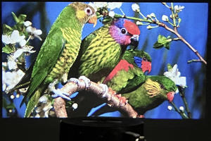 Mini proyector de vídeo Yinzam YT200, lámpara LED portátil más barata 1080P HD proyectores de cine en casa juguete electrónico para niños - Product Image 5