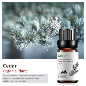 Aceite Esencial de Árbol de Té Natural a Granel 10ml 100% Puro con Incienso, Canela, Cedro y <span class=keywords><strong>Cajeput</strong></span> para Difusor de Coche y Cuidado de la Piel al por Mayor - Product Image 4