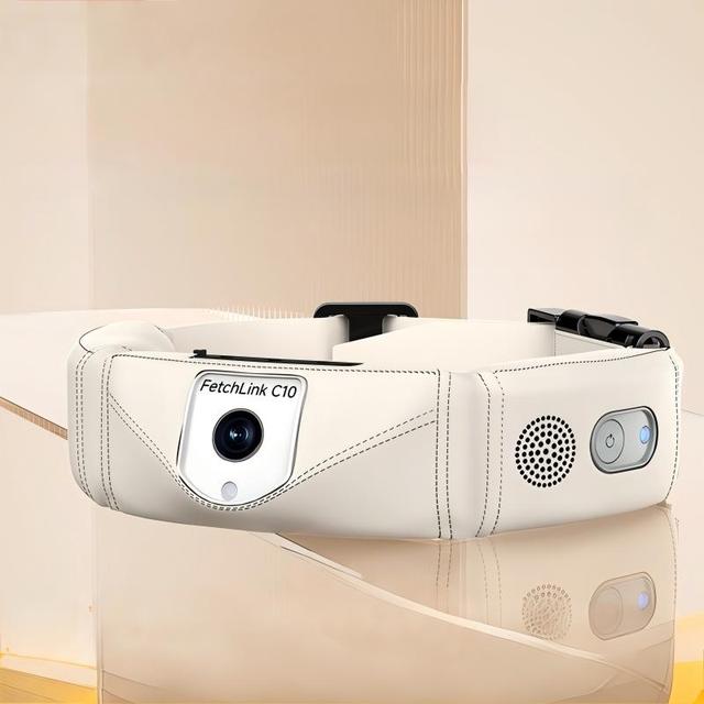 Smart 4G GPS Pet Collar Camera with AI POV 2K Live View Health Monitoring IP66 Waterproof Shock Training Voice Control Set