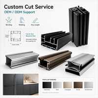 Offre Spéciale : Profilé d'Extrusion en Aluminium Personnalisé Grade 6063 pour Fenêtres, Pliage, Soudage, Usinage CNC T5 T6