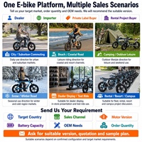 Vélo Électrique Rétro Emtb 48V, Vélo Électrique de Route, de Montagne et tout-terrain, avec Pneus Larges, Expédié depuis l'Entrepôt Américain