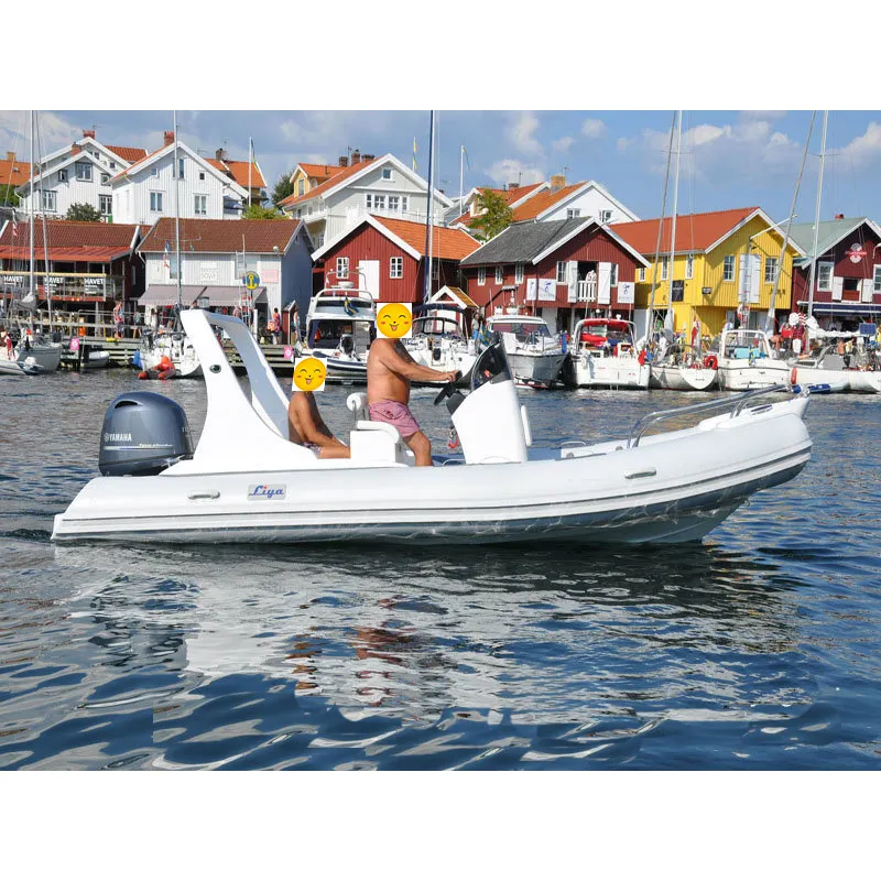 लिया रिब hypalon inflatable नौकाओं ट्यूब 10 यात्रियों खेल नौका बिक्री