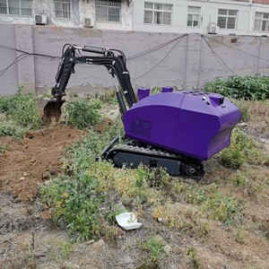 Электрический экскаватор муравьев робот Гидравлический Электрический экскаватор с дистанционным управлением Rc мини-экскаватор 0.5ton/1ton - Product Image 6