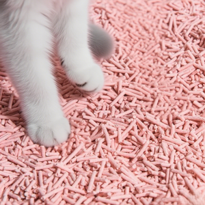 Lettiera per Gatti al 100% in Tofu, Agglomerante Rapido, Ultra Assorbente, Senza Polvere, Ipoallergenica, Accessori per Toilette per Gatti - Product Image 2