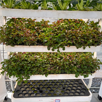 Nouveaux Systèmes de Culture Hydroponique Intelligents Verticaux pour Jardins Intérieurs 2026