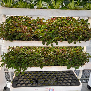 Nouveaux Systèmes de Culture Hydroponique Intelligents Verticaux pour Jardins Intérieurs 2026 - Product Image 2