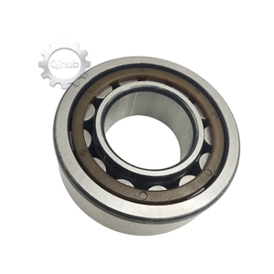 Rodamiento de Caja de Cambios de Alta Calidad, Rodamiento de Transmisión para Automóviles 25*52*18 0295Y0711 0098861130 016734696-0000-02 EA-NJ2205AP6V3 - Product Image 4