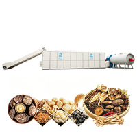 Topverkopers Automatische Elektrische Verwarmings-Meshbanddroogmachine voor Kelp, Kardemom, Tomaten, Rode Dadels & Kurkuma
