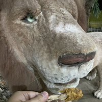 Modèle mécanique réaliste grandeur nature d'homme personnalisé en usine pour les parcs d'attractions agricoles