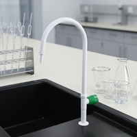 Robinet de laboratoire professionnel à poignée unique, résistant à la corrosion, avec revêtement époxy blanc, facile à installer