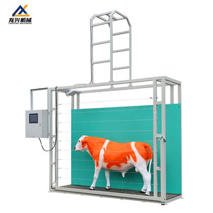 Sistema Intelligente di Misurazione Corporea per Bovini, Rilevatore Professionale delle Dimensioni dei Bovini per Allevamenti su Larga Scala - Product Image 1