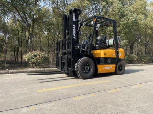 CE ISO 2500kg LPG xe nâng xe nâng chiều cao 3-6m với Side Shifter OEM 4x4 rwd tự động ngã ba điều chỉnh xe nâng - Product Image 3