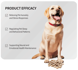 Tabletas de Apoyo Inmunológico, Vitaminas y Minerales para Perros y Gatos, Absorción Rápida, Seguras, Alivian el Miedo a Viajes/Tormentas, Promueven un Sueño Profundo - Product Image 2