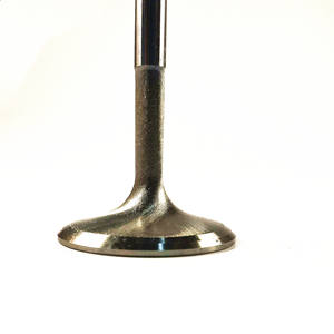 Para FIAT <span class=keywords><strong>JAGUAR</strong></span> XJ6 3,2 XJ6 4,0 XJS3.6 pieza de válvula de motor válvula de escape de admisión de alta calidad permite personalizar OEM EBC3953 EBC8633 - Product Image 3