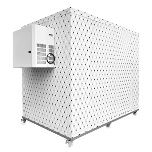 Vụ Nổ Tủ đông làm mát đi bộ trong phòng lạnh container với đơn vị làm lạnh - Product Image 4