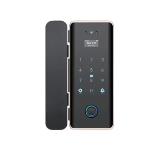 <b>Smart</b> Glass Door <b>Lock</b> With 3D Face Recognition Fingerprint Password Wi-Fi Tuya App Cloud Storage Aluminum Material - Product Image 2