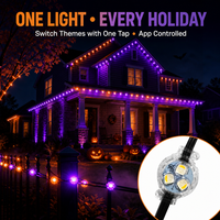 Ismart Wholesale Pixels Light Ws2811 Blanc Chaud Rgbw 12V Lumière de Noël Extérieure Étanche avec Contrôle par Application Intelligente Décoration