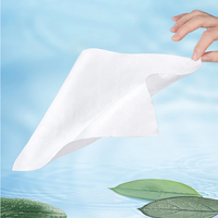 Lingettes jetables biodégradables avec logo personnalisé Lingettes humides bactériostatiques en papier pour les soins menstruels féminins équilibrés au ph